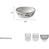 Pfaltzgraff Winterberry Season's Greetings Serving Tray with Dip Bowl, 2 Piece, Multicolored