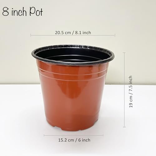 Image of Sapling's World Thermoformed Plastic Pots | 8 Inch Size | Terracotta Colour | Unbreakable |Multiple Holes for Better Drainage |Best for Indoor & Outdoor Plants (Pack of 24)