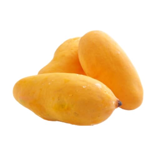 Mango Pakistan