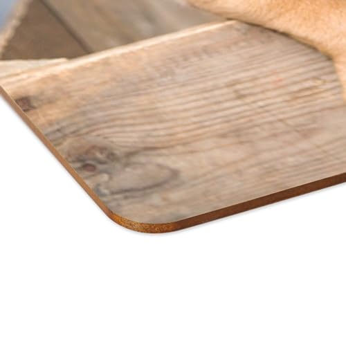 Sets de table en liège chiot protégez votre meuble avec ces 4 napperons dogue de bordeaux