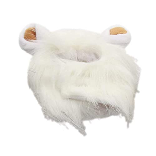 LpEBbO CI ybgp ybgpXq L蕨 RXvEBbORXvLbv  Xq ϐg ߉\ ϐg pRX`[ RXv ObY yb 