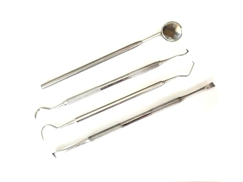 4 Pieces Dog Dental Tooth Scaler and Scraper Stainless Double Headed Tarter Removing Tool Scraper Pet Teeth Cleaning Tools for Dog and Cat