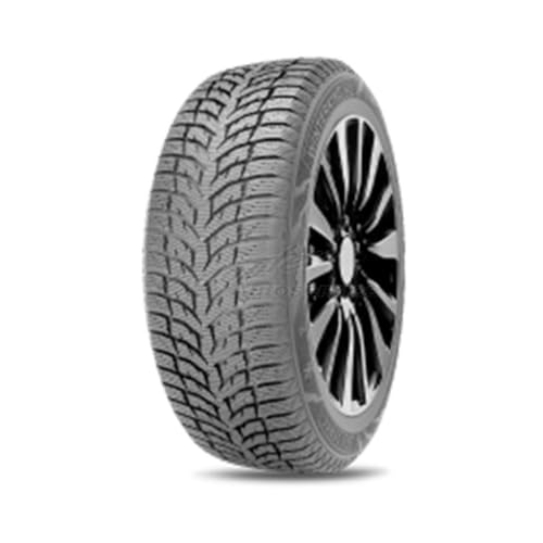 DOUBLESTAR Winterreifen 225/55 R 16 TL 95H WINTERKING DW08 BSW M+S 3PMSF