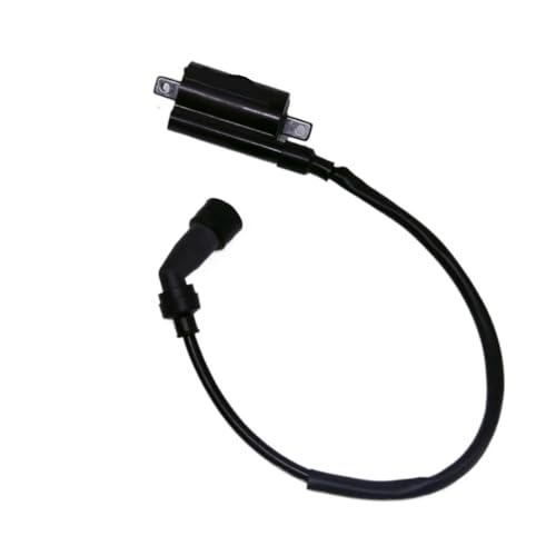 Bobina de encendido JLA-925E para ATV de 300cc y motor JL1P73MN