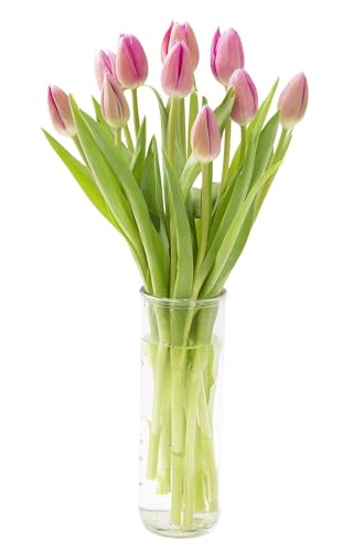kabloom prime next day delivery - mothers day collection - bouquet of 10 pink tulips gift for birthday sympathy anniversary get well thank you valentine mothers day flowers