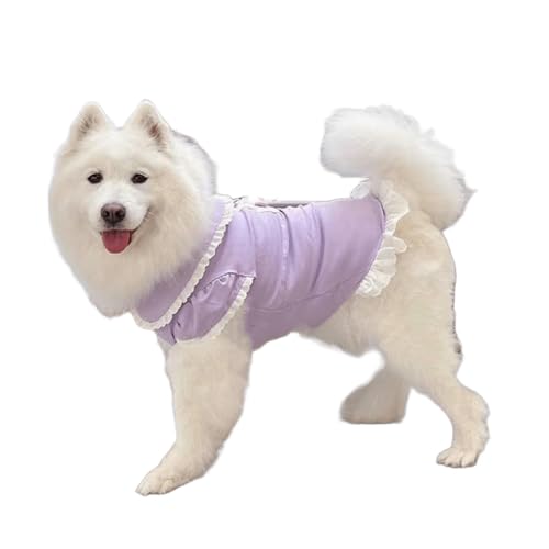 Robe pour chien de grande taille violette en dentelle pour Labrador - 2