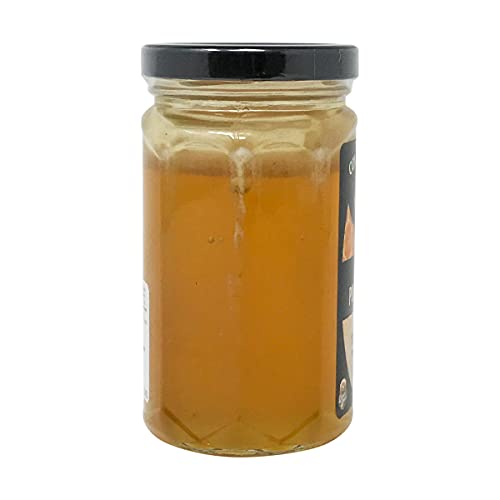 Cox Honeyland, miel en frasco de vidrio 16 onzas miniatura 2