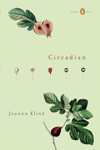 Circadian view 2