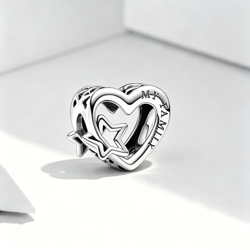 Image of ARTCHARM Ladybird Cat Bow Dragonfly Pendant 925 Sterling Silver with Enamal Good Luck Bead fit Bracelets Charms,Christmas Valentine Mother's Day Gift for Women Girls