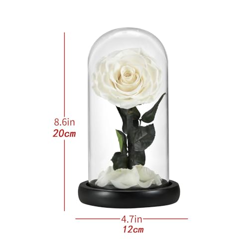 Flower Gift for, White miniatura 3