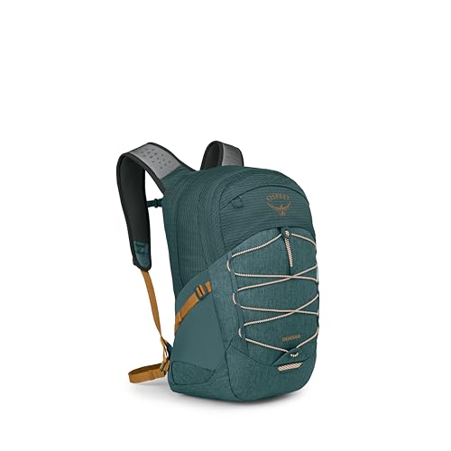 Osprey Quasar Commuter Backpack