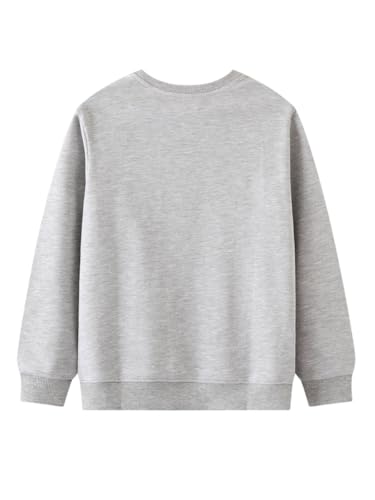 Boys Sweatshirts Casual Sweatshirts Cotton Sweatshirts Long Sleeve T-shirts Crew Neck Cartoon Tops for Boys-6032