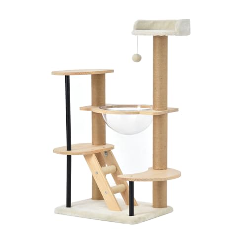 Lbg^[ u ؐ FD   {{t  ܂Ƃ{[ LbgnEX  ybgpi