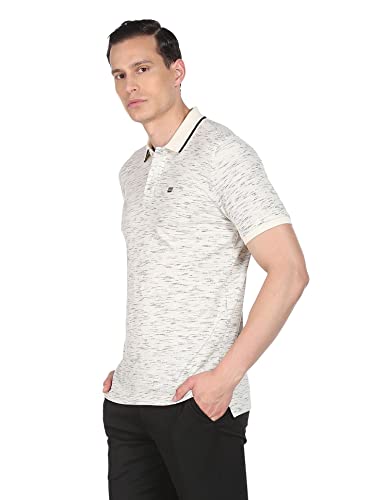 Image of Arrow Men's Cotton Solid Regular Fit Polo Shirt