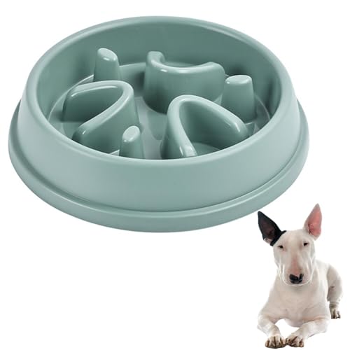 Lifetips ~j`AEueA ybgpX[t[h{E Lp Hh~  Փx ~ 􂢂₷ NǗ 킢fUC iA^Cv ~gO[j