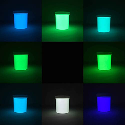 Prestige Glow In The Dark Pigment Powder. Longest Lasting Glow In The Dark Powder. Recommended For All Colorless Medium. Ink. Paint. Plastic Resin. Glass. Etc. (32G (16 X 2G), Sample Pack) #TOP3