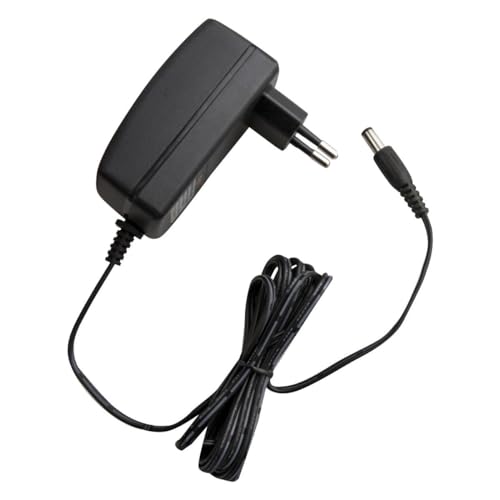 Carregador WORGRIP bateria direta 12 V.