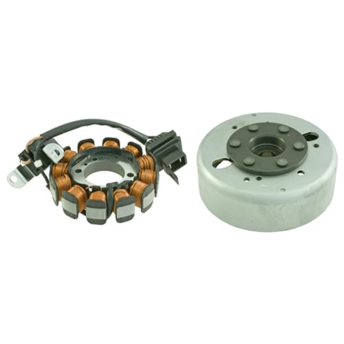 RIDE AND CUSTOM Volant Moteur Compatible avec Piaggio Fly 4T 2V 50 2013-2015