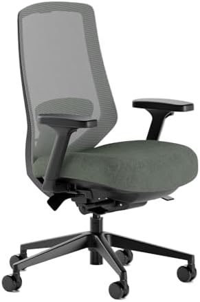 Branch Ergonomic Chair Pro, Mesh Office Chair with 14 Points of A...