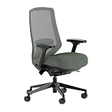Branch Ergonomic Chair Pro, Mesh Office Chair with 14 Points of Adjustment