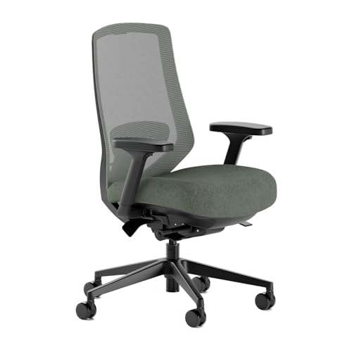 Branch Ergonomic Chair Pro - Mesh Office Chair with 14 Points of Adjustment - Height, Depth & Tilt Adjustable - 5D Armrests - Forward Tilt, Smooth Recline, and Lumbar Support - Everglade