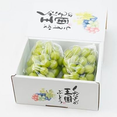 (2025年9月より発送)訳あり家庭用 岡山県産 シャインマスカット 1.0kg以上(2房)