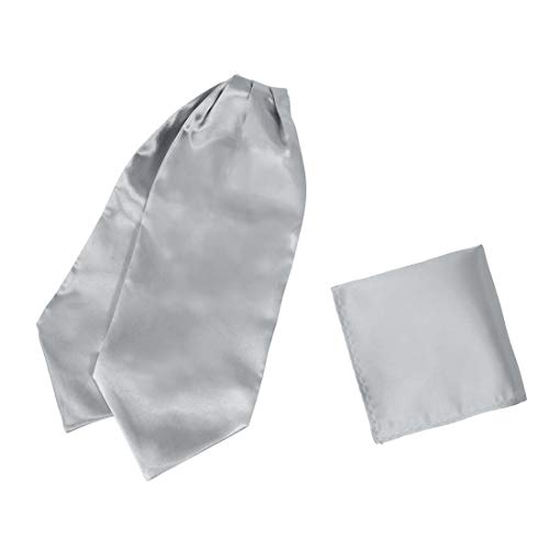 Dan Smith Silver Ascot Cravat Tie For Men Handkerchiefs Satin Solid Self Formal Cravat Scarf Hankies Evening Drc1E01H Silver #TOP20