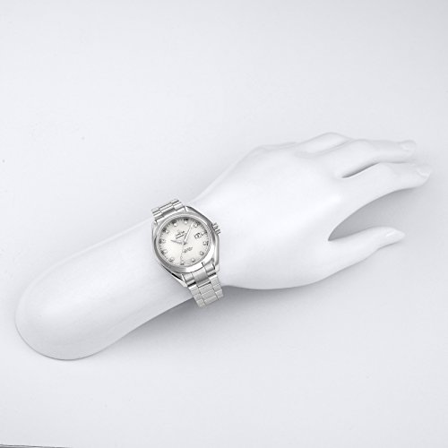 Omega Seamaster Aqua Terra Co-Axial Watch Automatic 231.10.34.20.55.0014