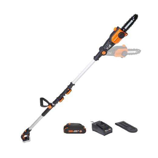 WORX 2-in-1 Attachment Capable WG349 20V Pole Saw, black and orange