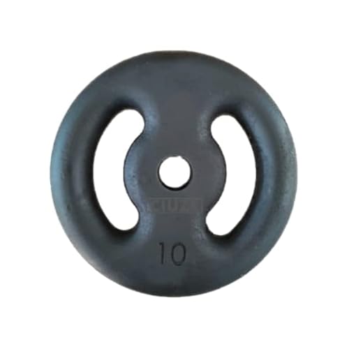 Anilha De Ferro Fundido Pintada - 10 Kg