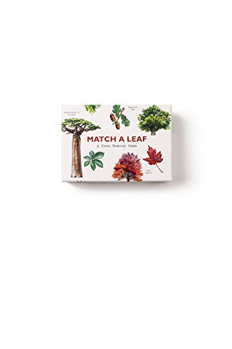 Match a Leaf: A Tree Memory Game - Image 5