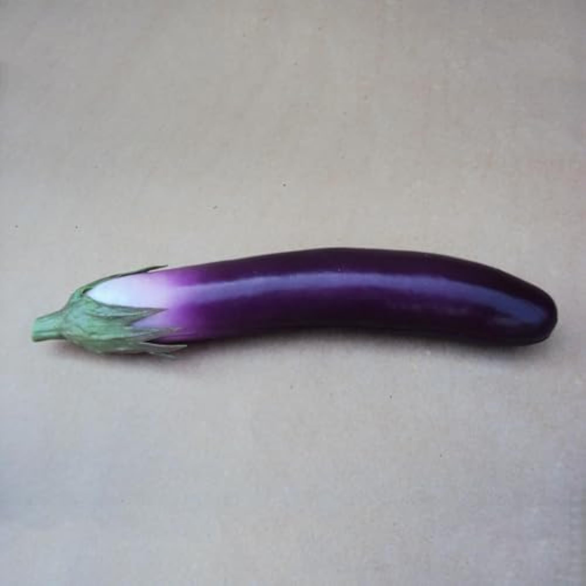 Realistic Fake Eggplant Artificial Decorative Vegetable