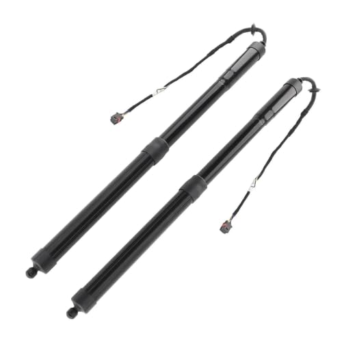Hayon électrique Cayenne 92A 95851285104 vérin hydraulique gaz