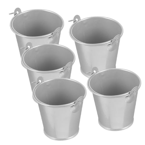 Ciieeo 5 Piezas Pequeños Cubos de Metal con Asas Macetas de Lata Vintage para Suculentas y Decoración Rústica de Fiesta Cubos Mini para Recuerdos y Organización
