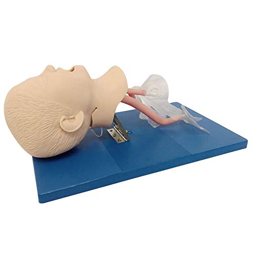 Intubation Model, Airway Management Trainer Intubation Manikin Oral Nasal Training Study Tracheal Baby Care Teaching Simulator Model for Lab School Education