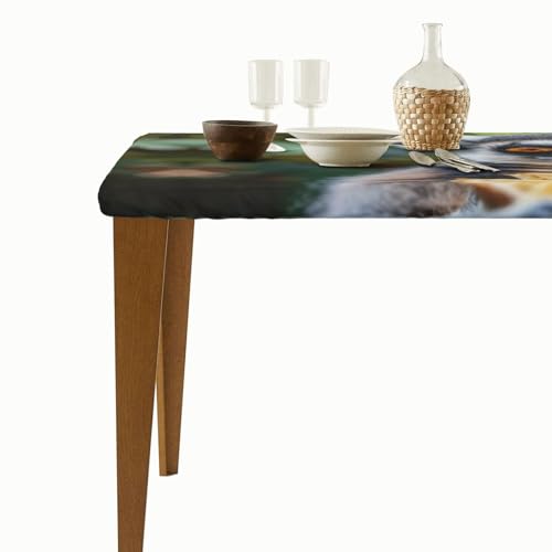Nappe élastique lémurien pour table 5 pieds imperméable nappe lavable intérieur extérieur
