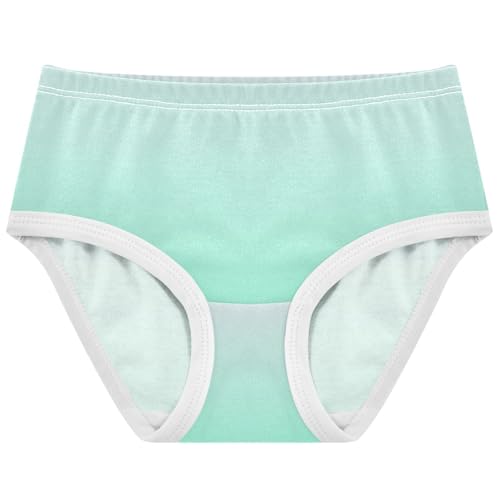 Joisal Magnolia Aquamarine Gradient Ombre Little Girl Panties Girls Underwear Toddler Cotton Fun Briefs Kids Undies 2t