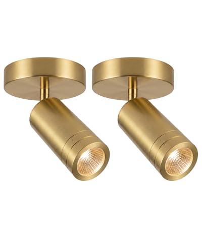 Image of 2Pcs 12W LED Dimmable Gold Ceiling Spotlight Indoor - Solid Copper