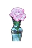Photo Gallery pretty rose: journal, notes, lists Photo Gallery pretty rose: journal, notes, lists