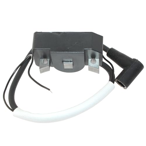 Bobina de encendido soluciona fallos de arranque en motor BS700 3