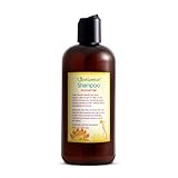 Normal Hair Shampoo | Best Shampoo for Normal Hair Types | Leaves Hair Fresh & Great