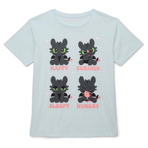 How to Train Your Dragon Shirt Girl's Toothless Short Sleeve Graphic Tee3