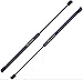 2 Pieces (Set) Tuff Support Liftgate Lift Supports 2000 to 2002 Ford Focus Wagon