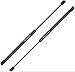 2 Pieces (Set) Rear Trunk Lid Lift Supports BMW 120I, 125I, 128I, 135I, 135Is - 2008-2013 Please See Below Detailed Model Years