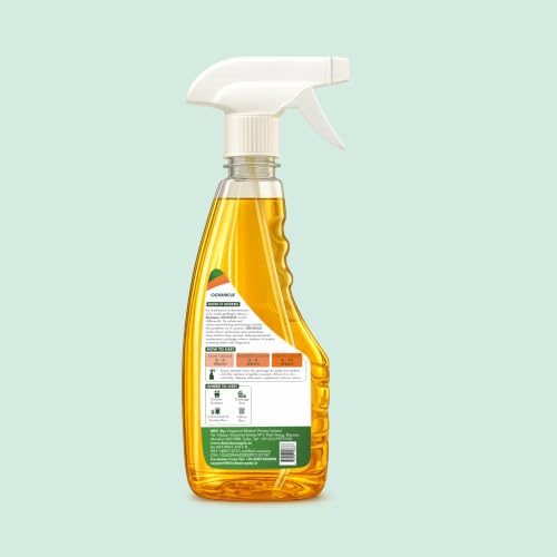 Image of Bioclean ODONOX - Garbage Odour Eliminator Spray | Destroys Bad Smell from Garbage | Made for Wet Waste, Organica Waste, Dustbins & Garbage Waste | Trash Bin Spray 500ml
