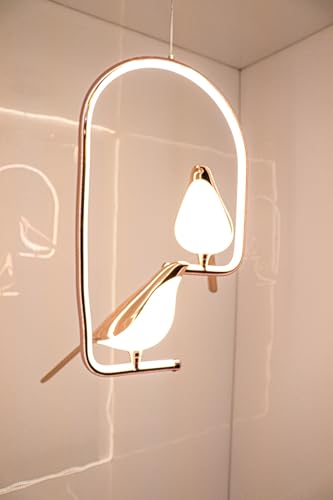 swanart Metal Chirpy Twin Pendant Hanging Lights For Living Room Lights: Double Delight