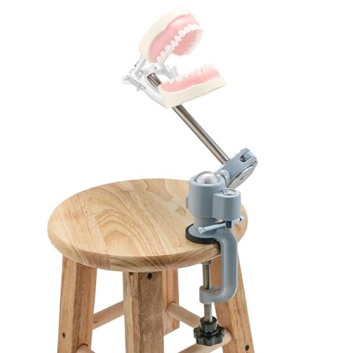 Dental Typodont Teeth Model Mounting Pole Compatible Columbia Dentoform 860 Type Kilgore NISSIN 200/500 Type (M80-ZJ)