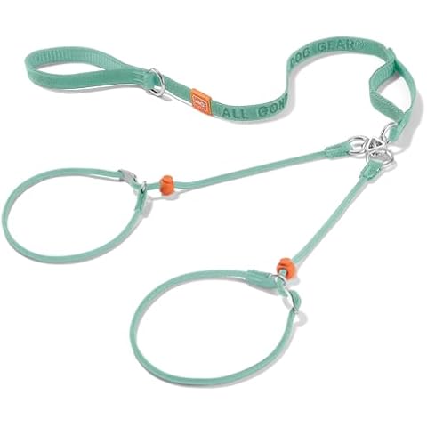 Howgo Double Slip Leash Slip Lead with Double Handles| Dual Dog Leash Lead for 2 Dogs,360° Swivel No Tangle | Reflective Dog Training Leash and Collar for Large Medium and Small Dogs(Black, 6FT) Cover