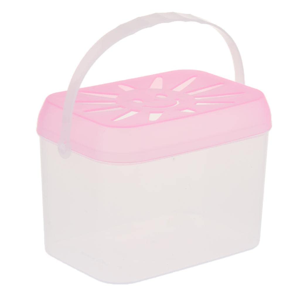 SECRET DESIRE Novelty Reptile Insect Carry Box Plastic Turtle Breeding Case Medium (B0CJMJDTZ4) Amazon Price History, Amazon Price Tracker