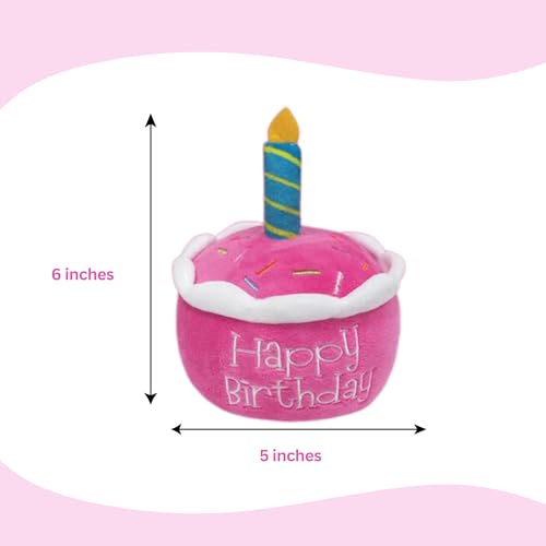 Birthday Girl Dog Gift Bundle – Juguetes para Perro miniatura 3